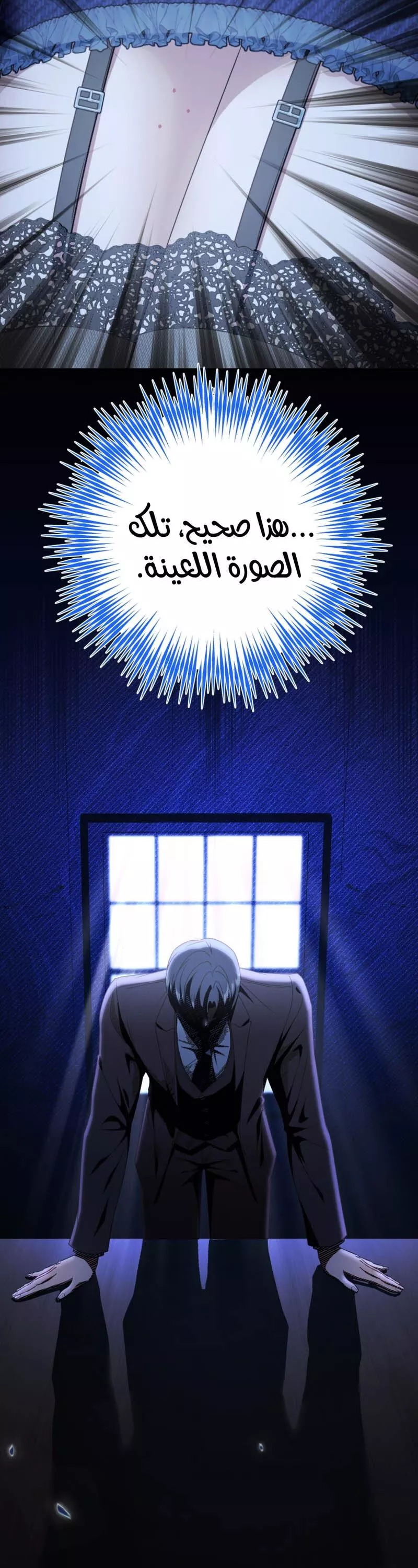 الصفحة 27