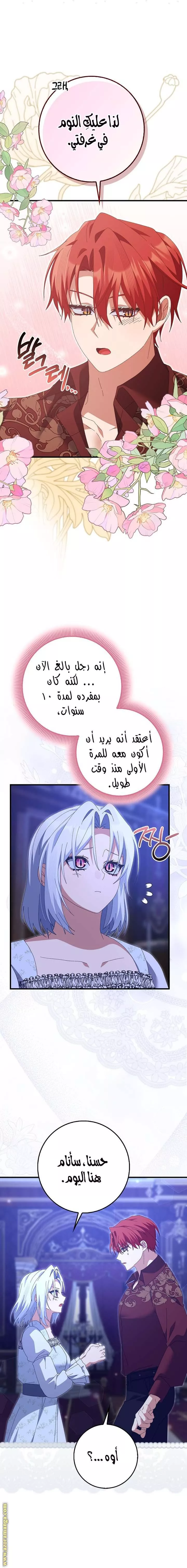 الصفحة 13
