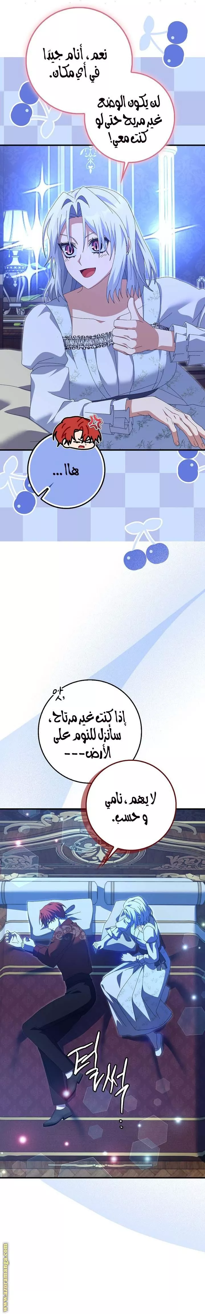 الصفحة 15