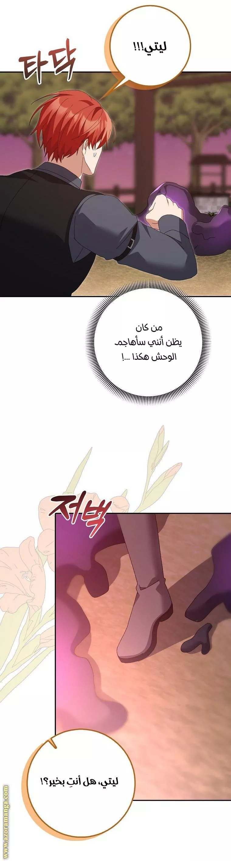 الصفحة 17