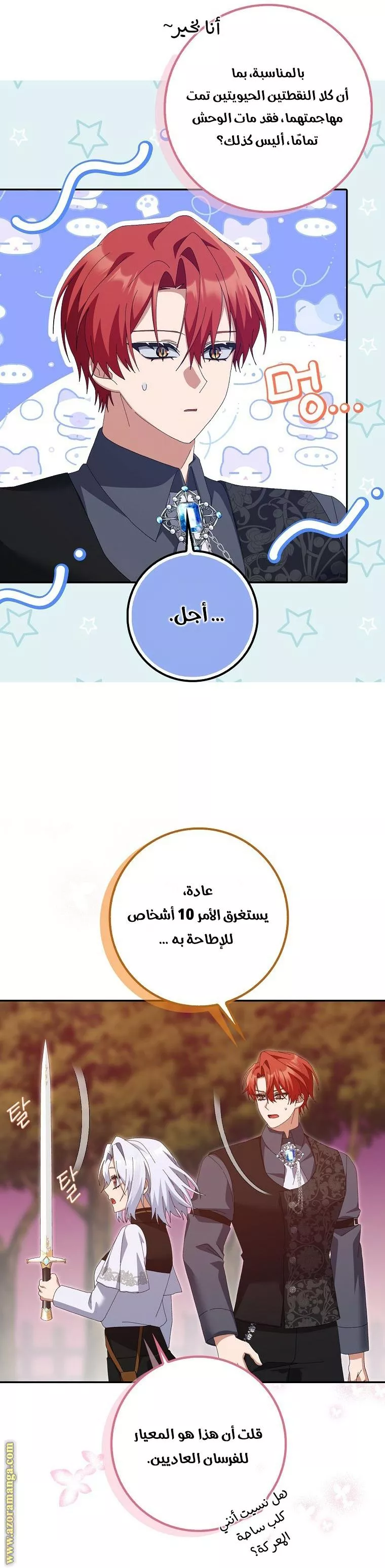 الصفحة 19