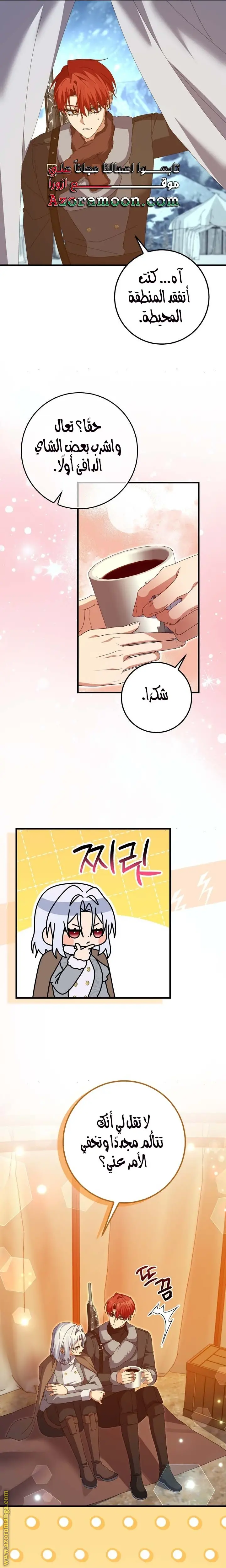 الصفحة 12