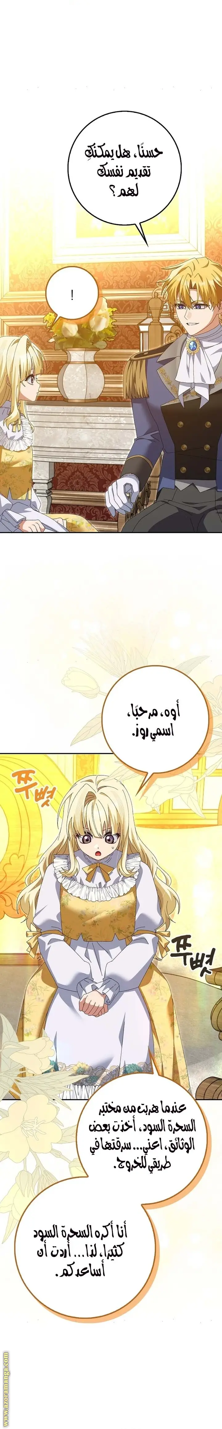 الصفحة 25