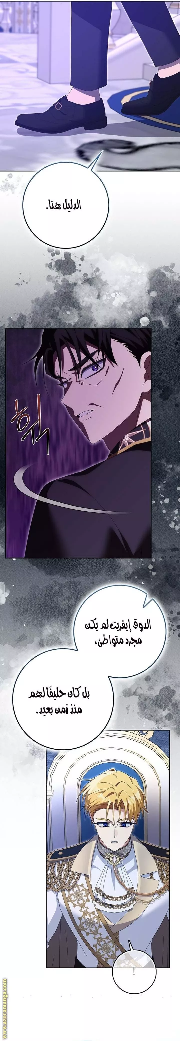 الصفحة 17