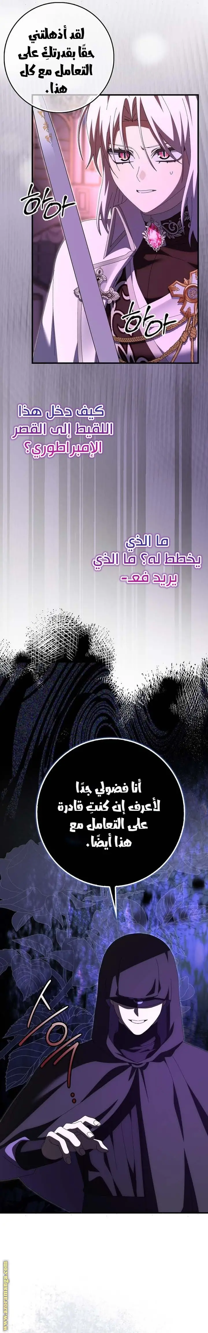 الصفحة 20