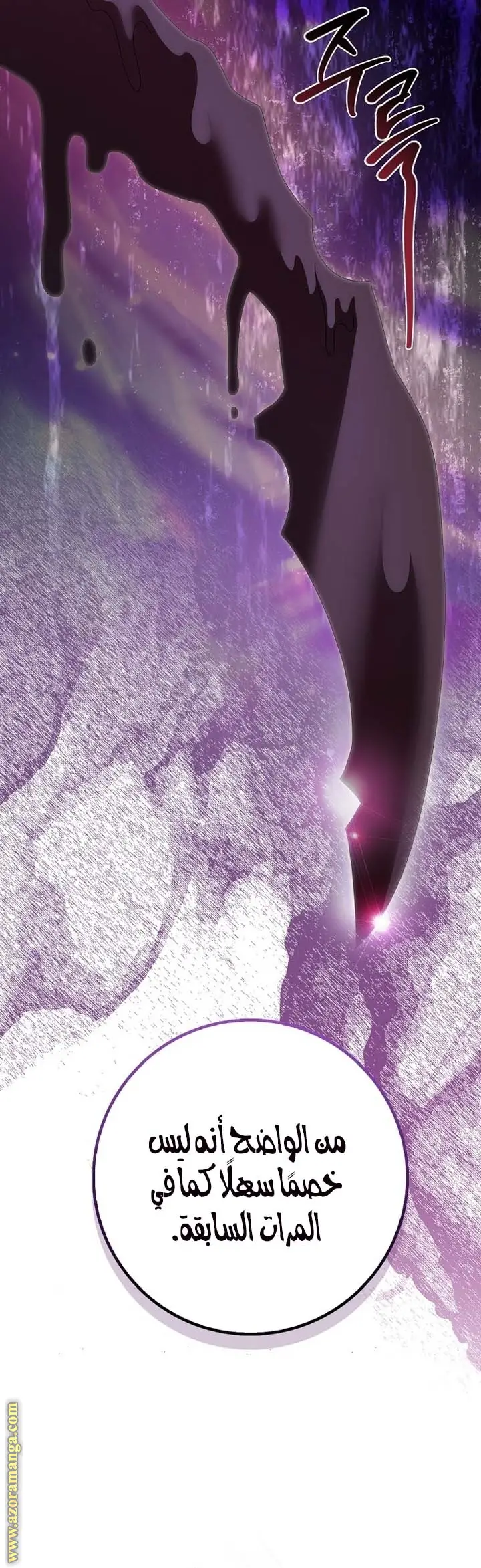 الصفحة 25