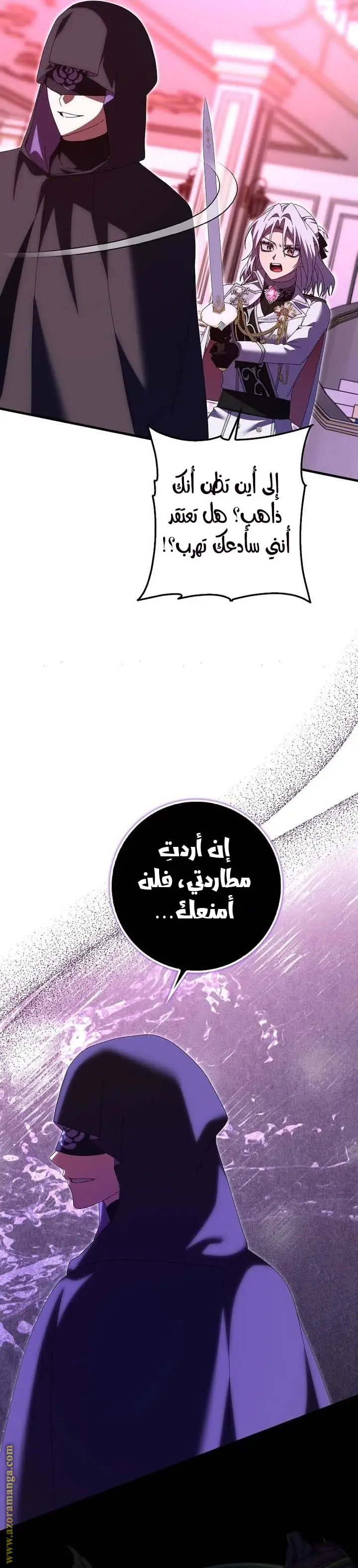 الصفحة 29