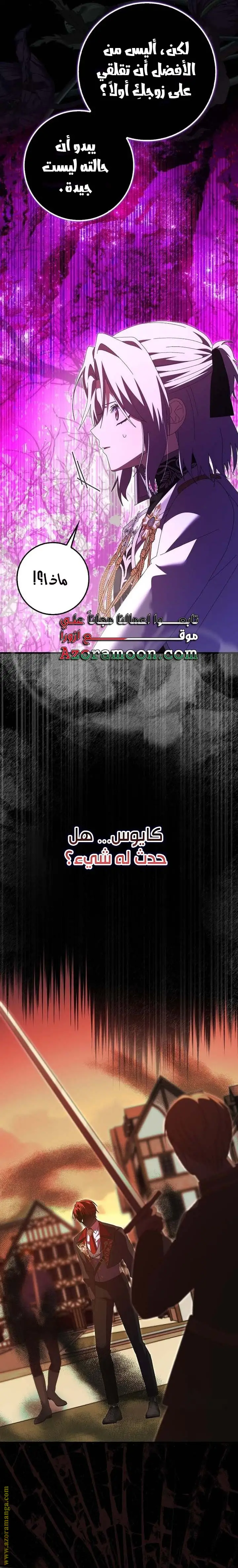 الصفحة 30