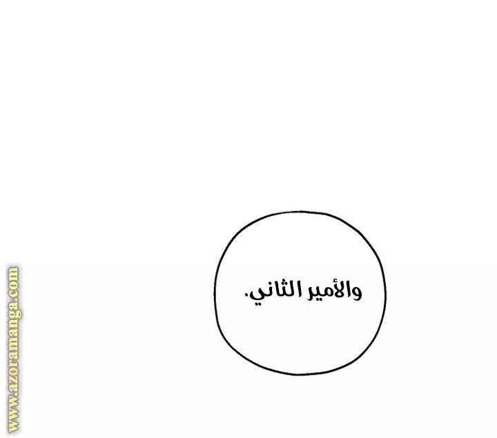 الصفحة 21