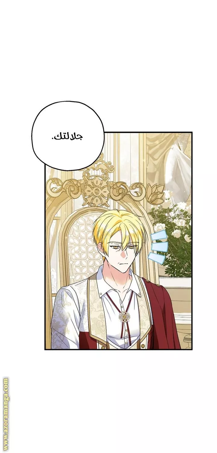 الصفحة 26