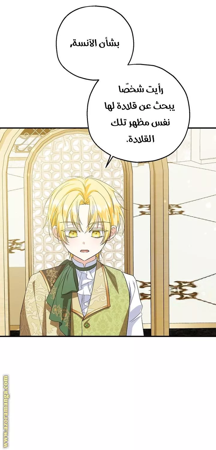 الصفحة 27