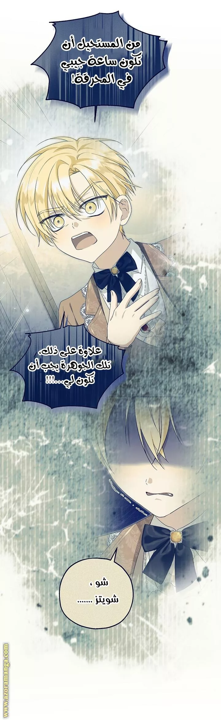الصفحة 49