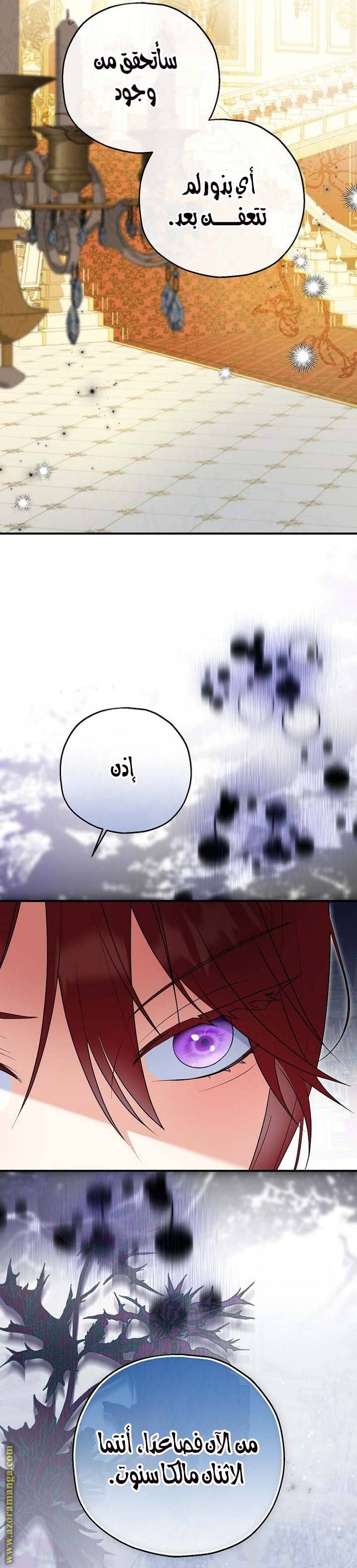 الصفحة 24