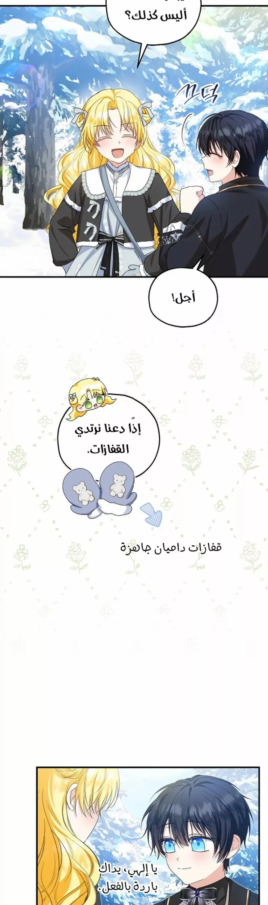 الصفحة 43