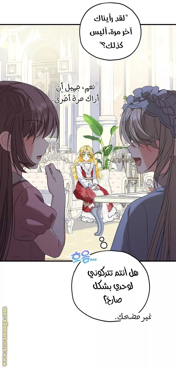 الصفحة 27