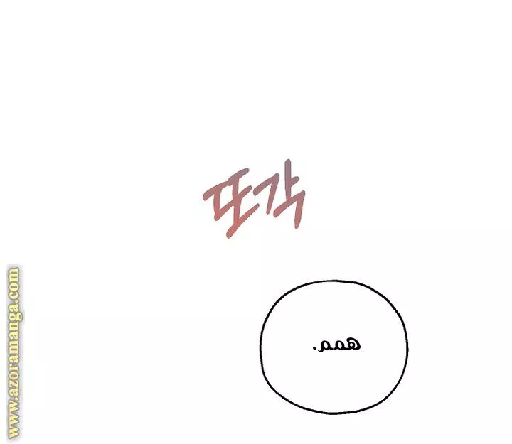 الصفحة 38