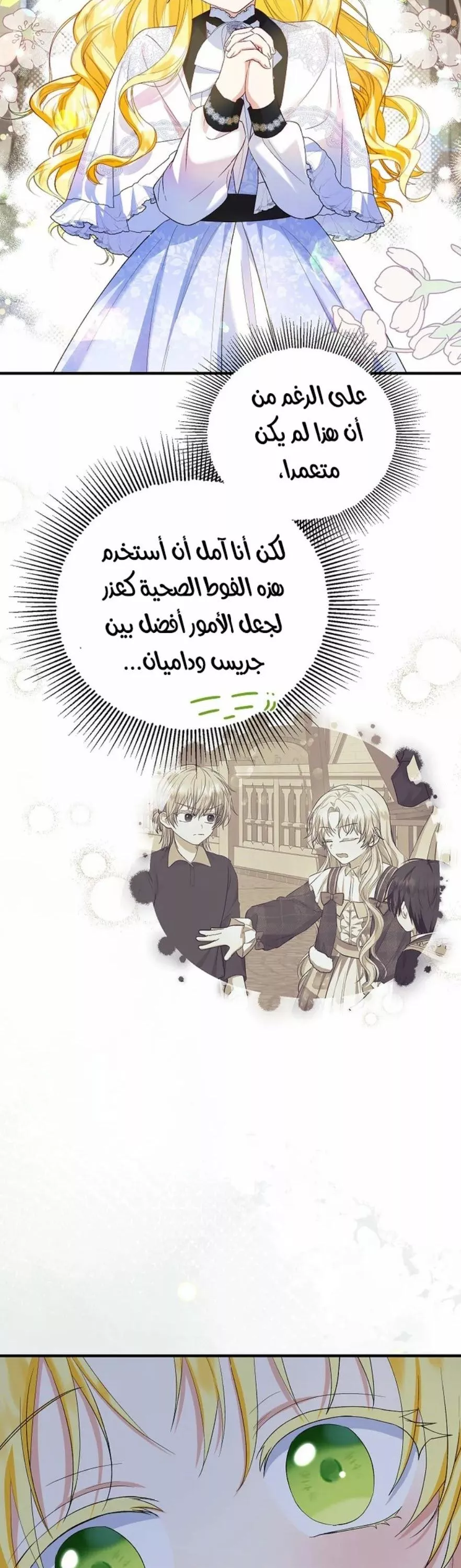الصفحة 17
