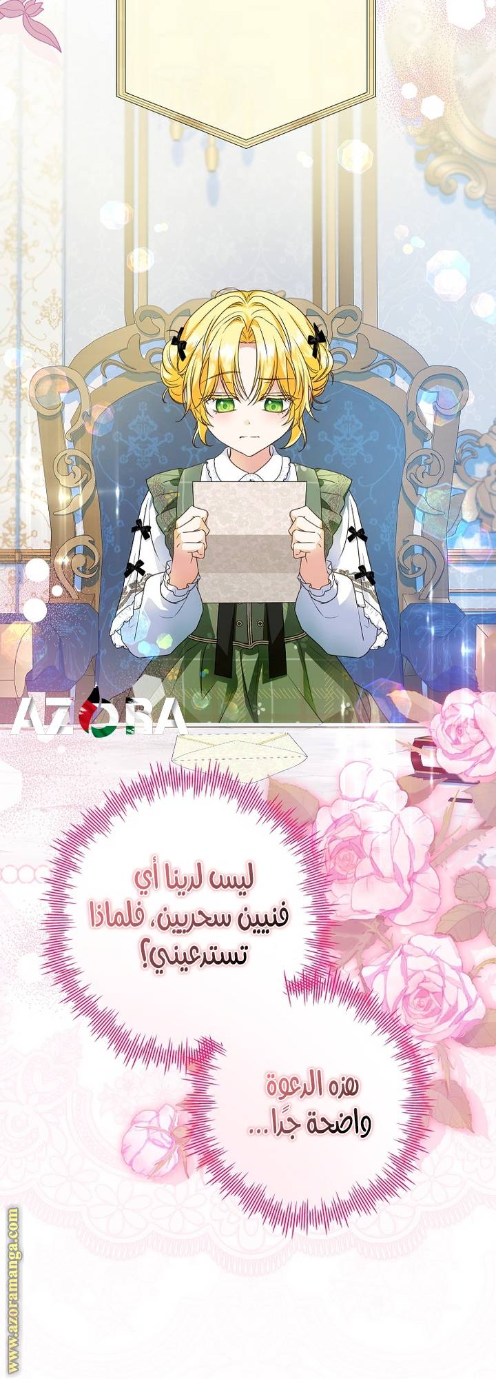 الصفحة 17