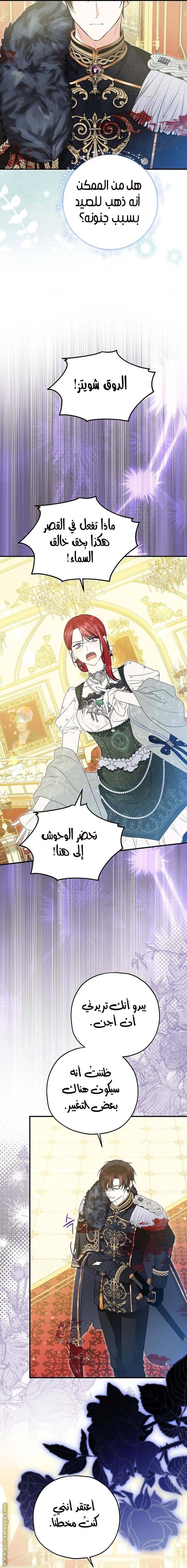 الصفحة 16