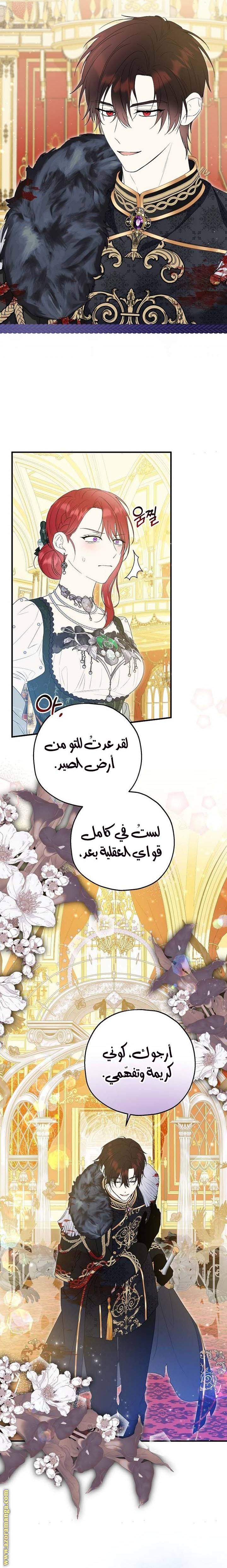 الصفحة 17