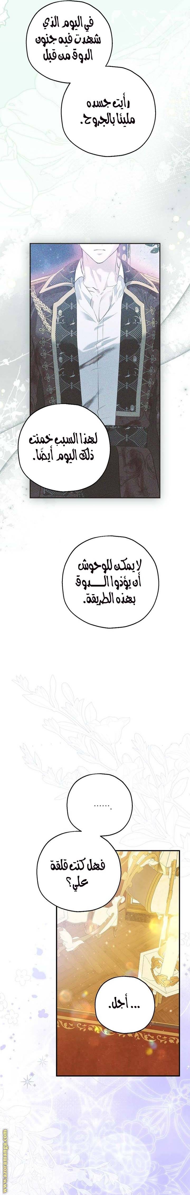 الصفحة 24
