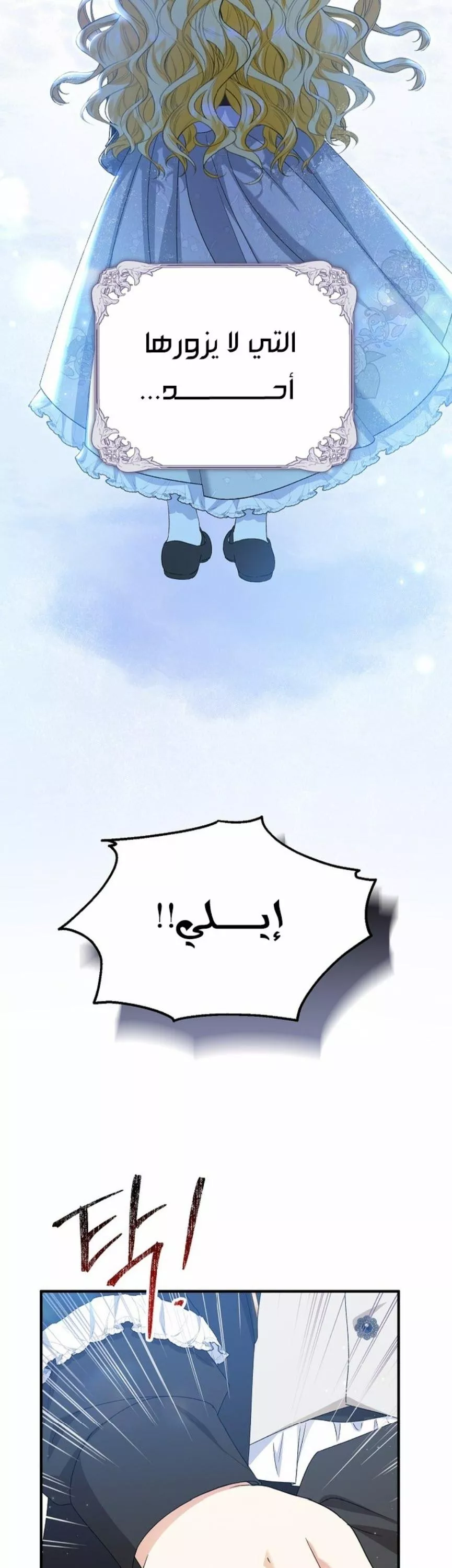 الصفحة 17