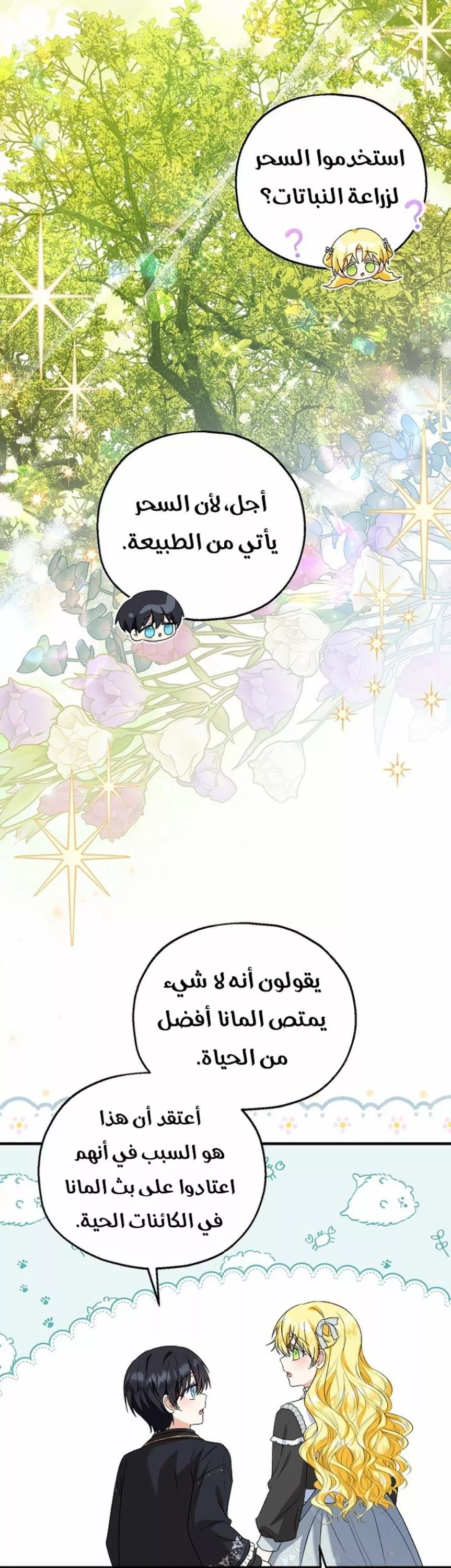 الصفحة 25