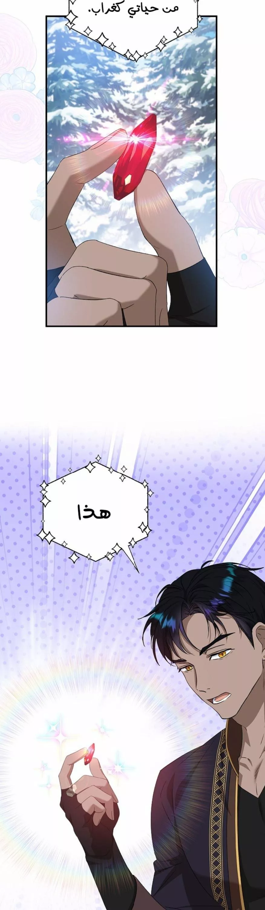 الصفحة 39