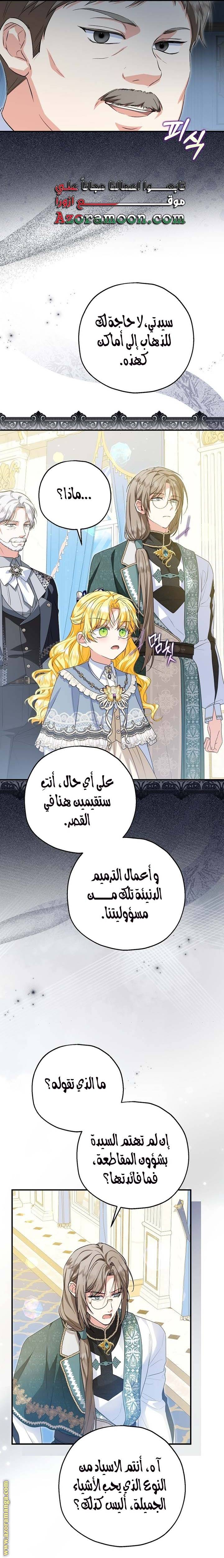 الصفحة 17