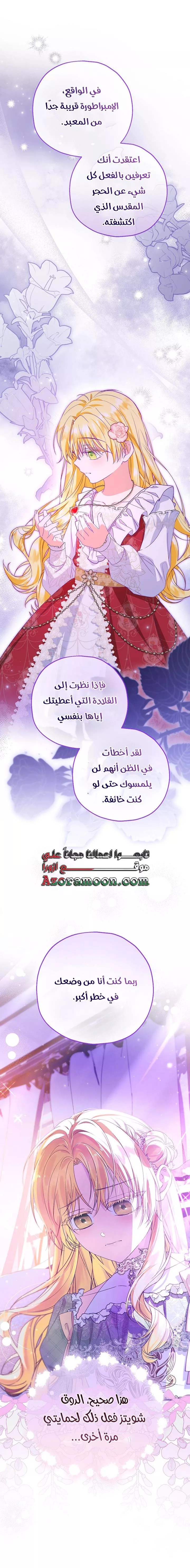 الصفحة 17