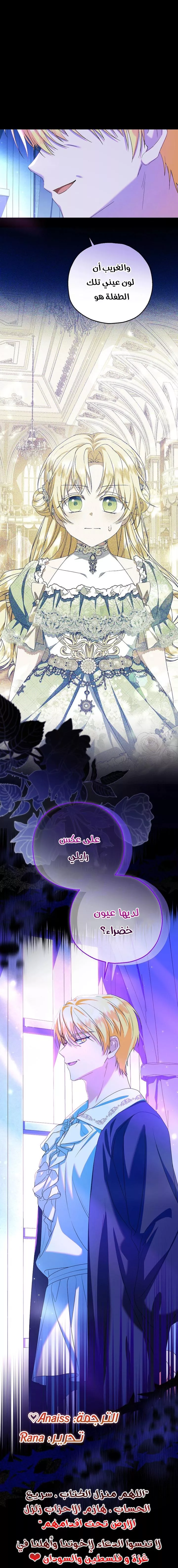 الصفحة 29