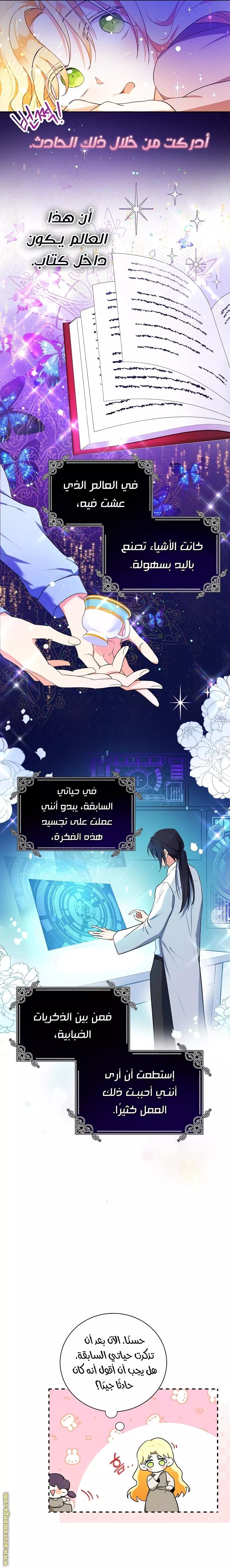الصفحة 11