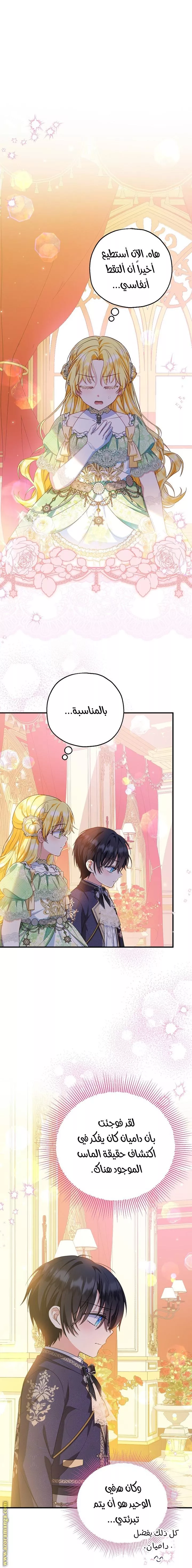 الصفحة 5