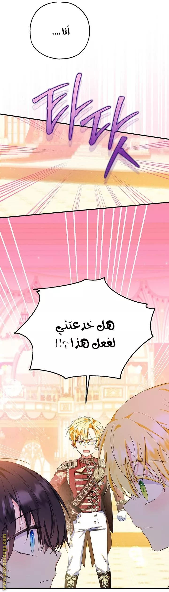 الصفحة 17
