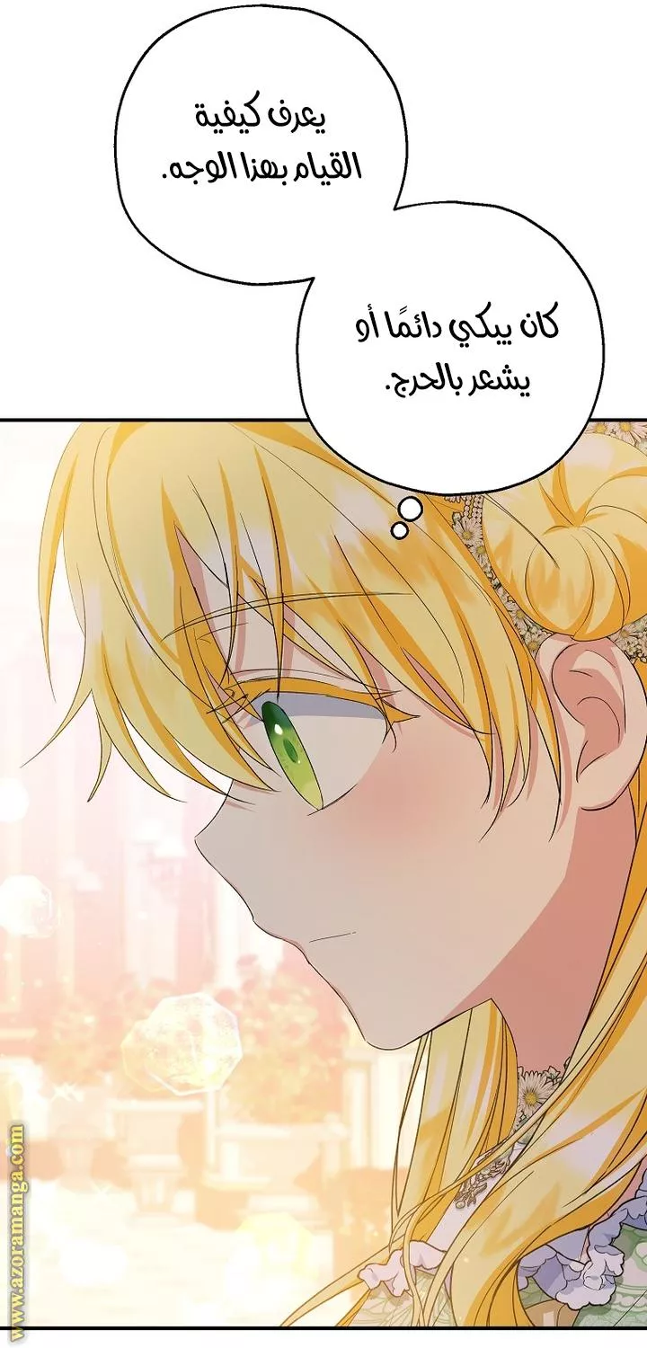 الصفحة 27