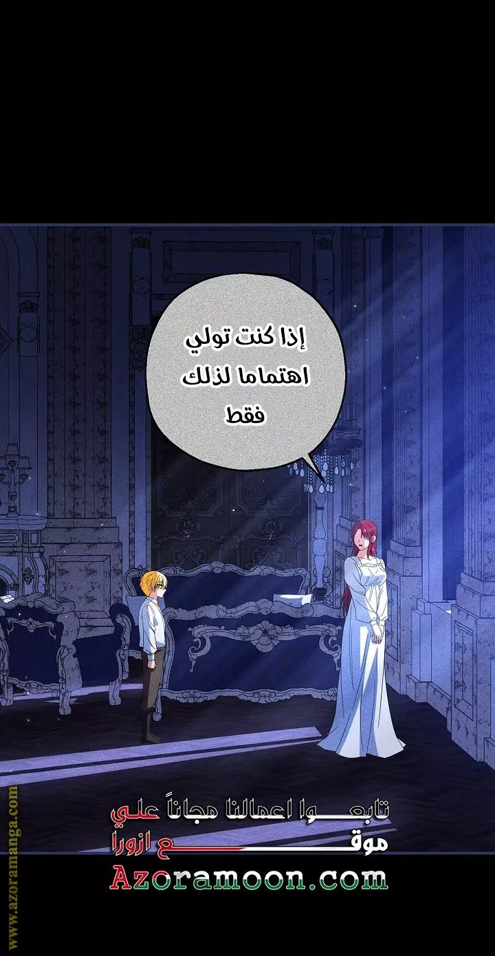 الصفحة 27