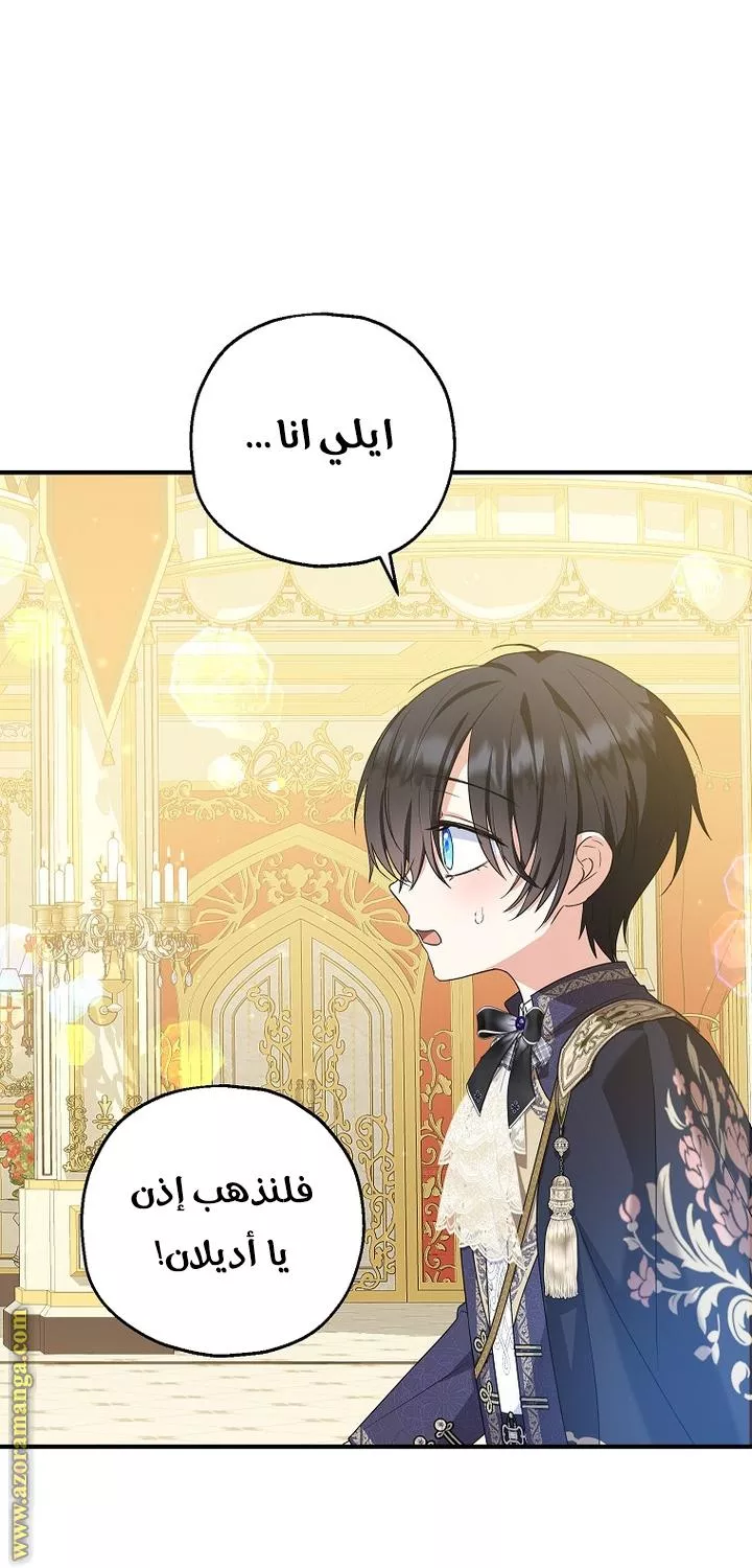 الصفحة 26