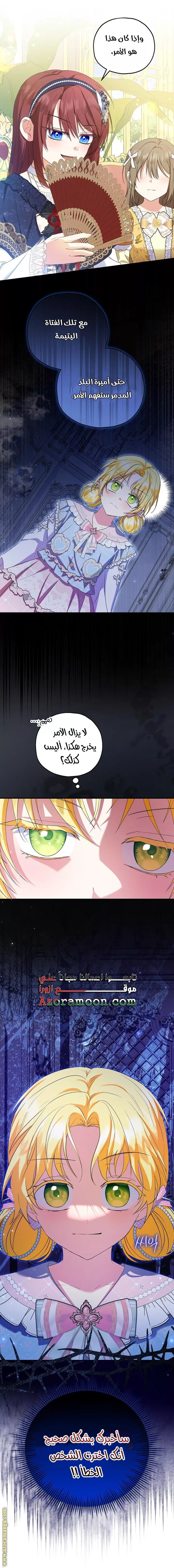 الصفحة 29