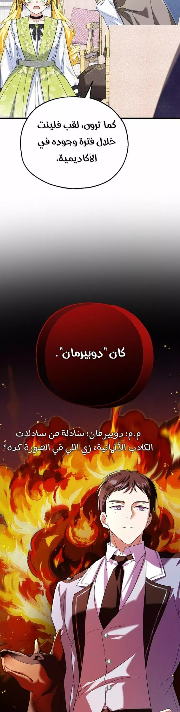 الصفحة 31