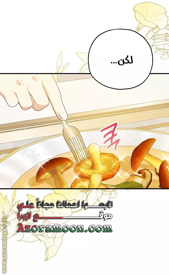 الصفحة 21