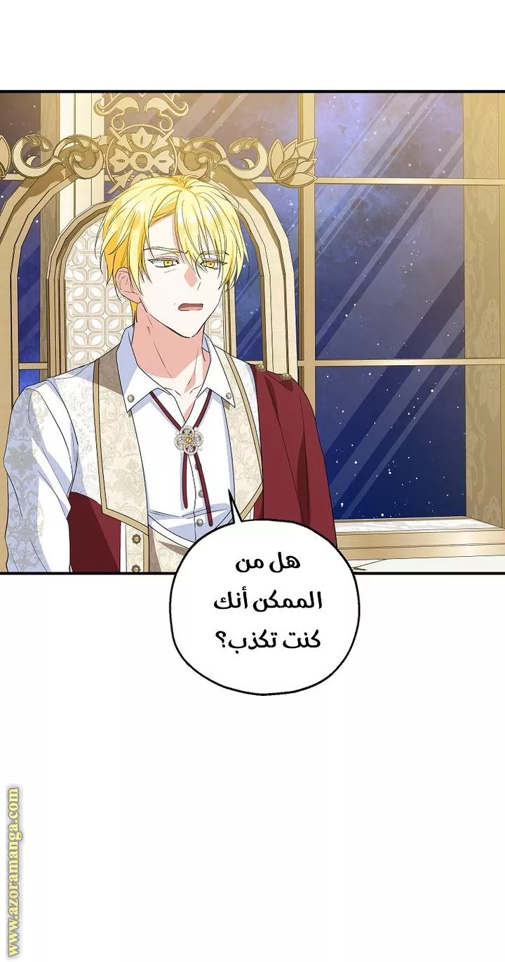 الصفحة 31