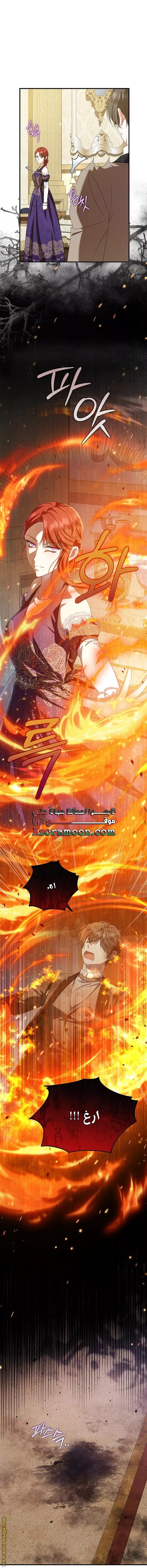 الصفحة 21