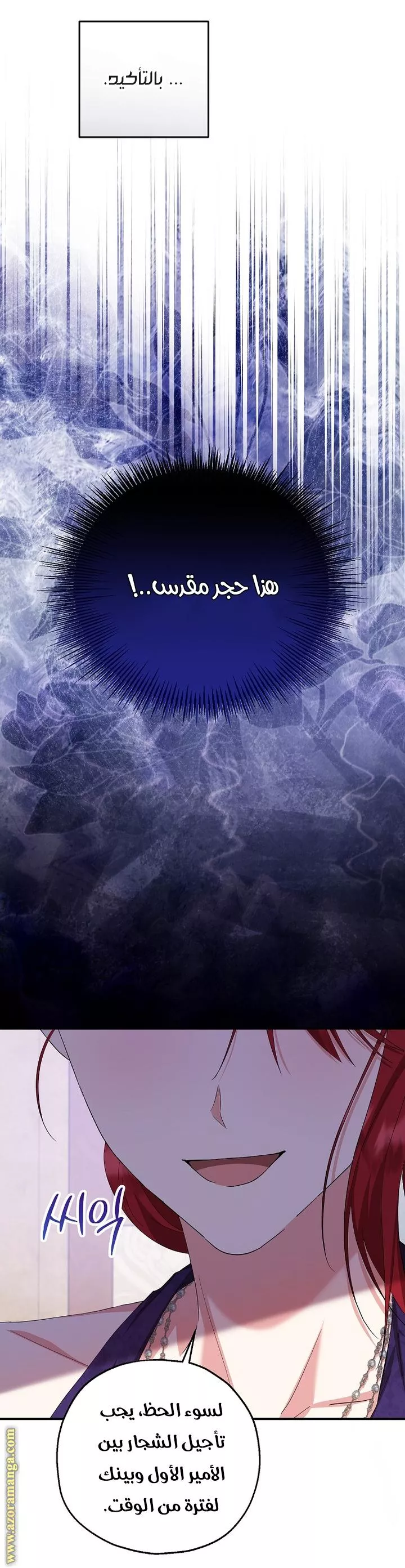 الصفحة 25