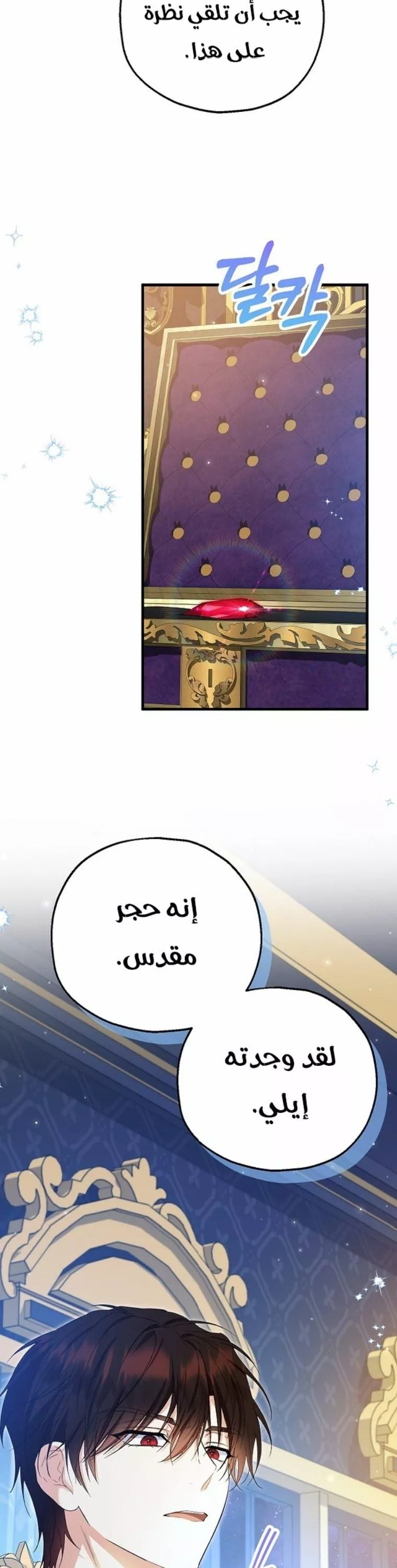 الصفحة 25