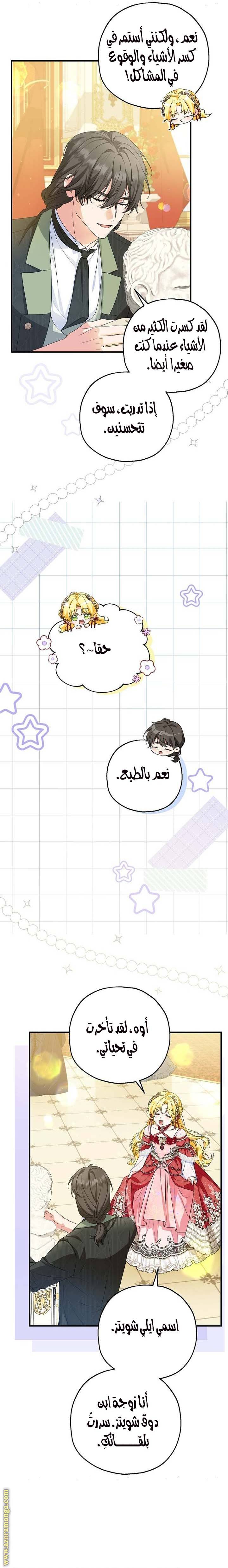 الصفحة 12