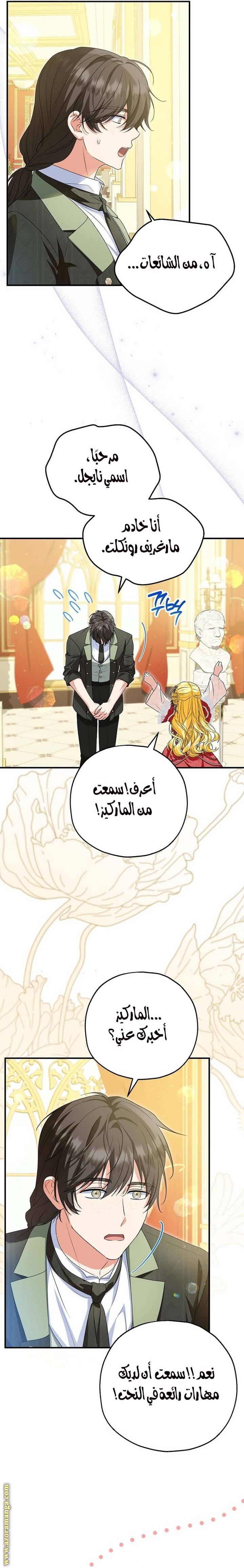 الصفحة 13