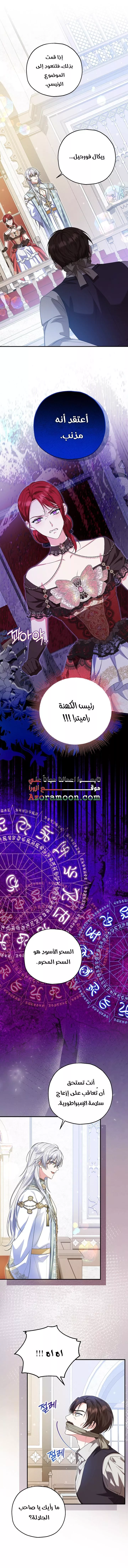 الصفحة 25