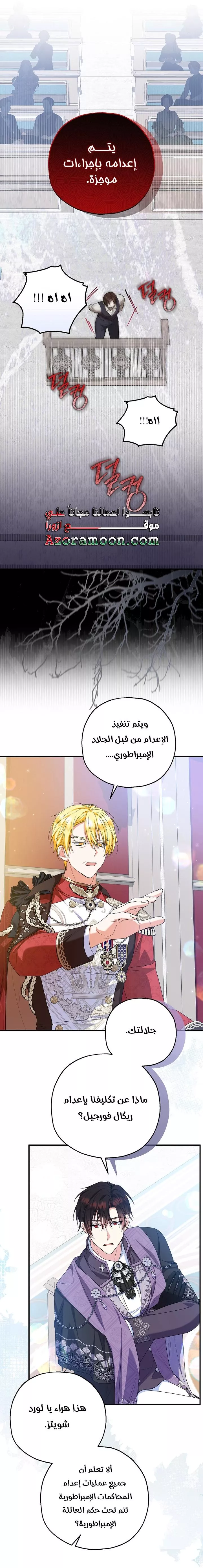 الصفحة 29
