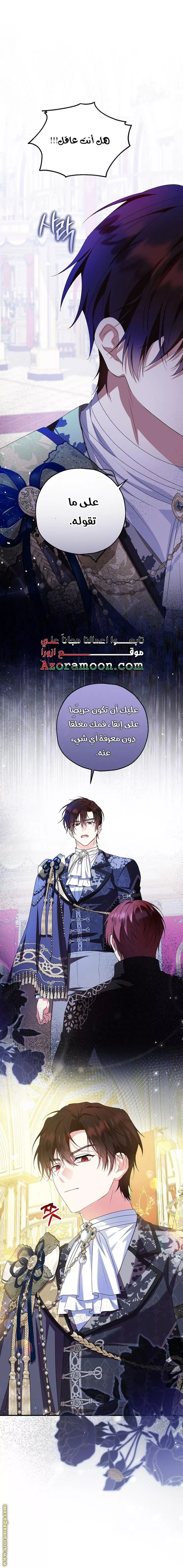 الصفحة 13