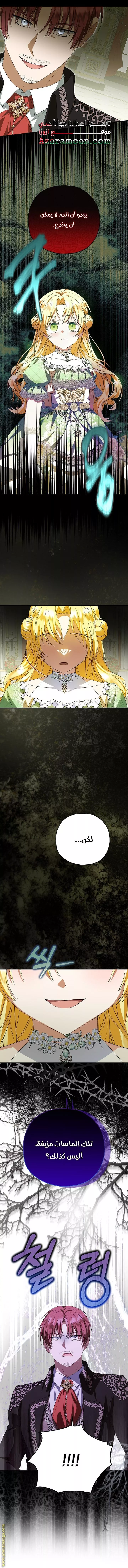الصفحة 21